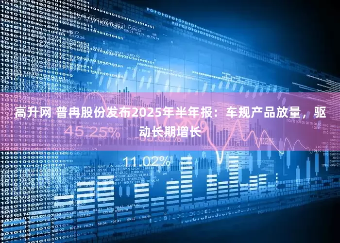 高升网 普冉股份发布2025年半年报：车规产品放量，驱动长期增长