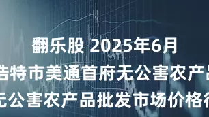 翻乐股 2025年6月16日呼和浩特市美通首府无公害农产品批发市场价格行情