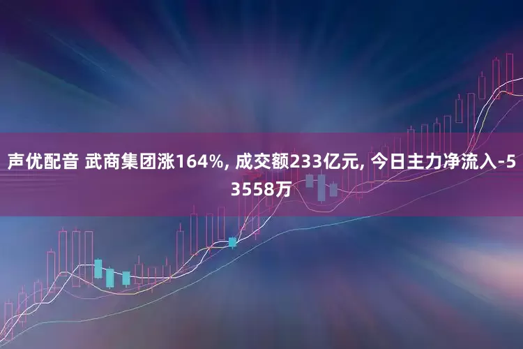 声优配音 武商集团涨164%, 成交额233亿元, 今日主力净流入-53558万